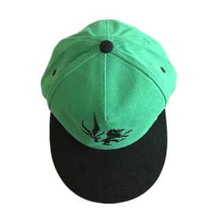 Customized Embroidery Logo Green Snapback Hat